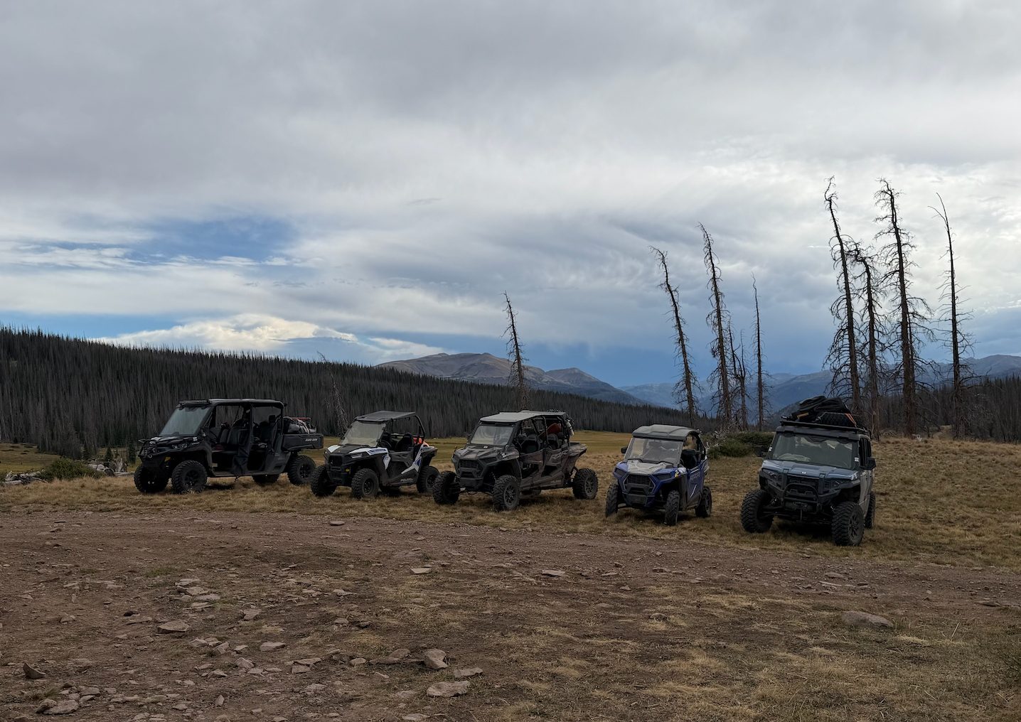 Five side-by-sides lined up on a high mountain meadow